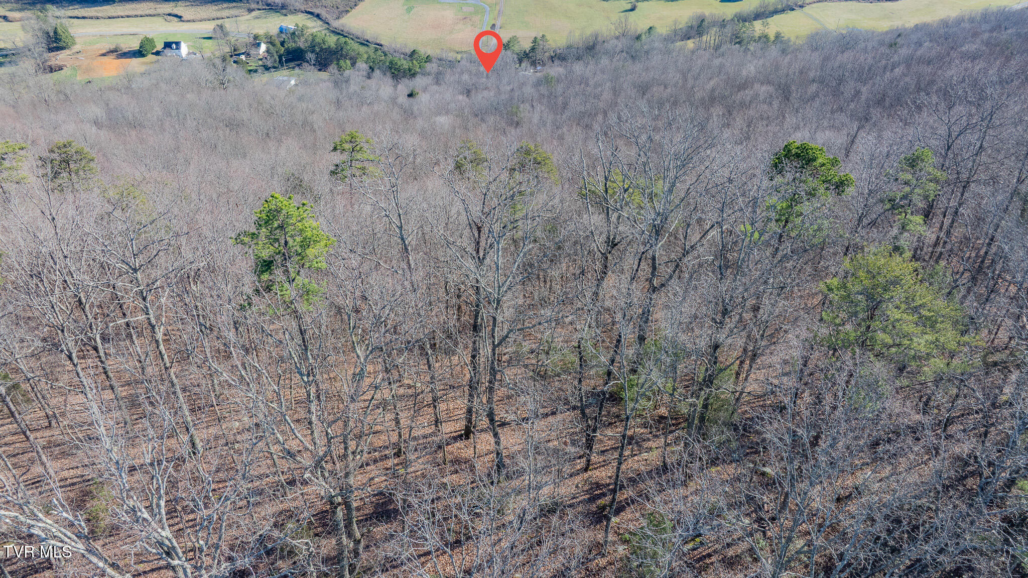 3822 Goshen Valley Road Rogersville, TN 37857 - Photo 17 of 17 dji_fly_20251219_143044_0913_17661727860