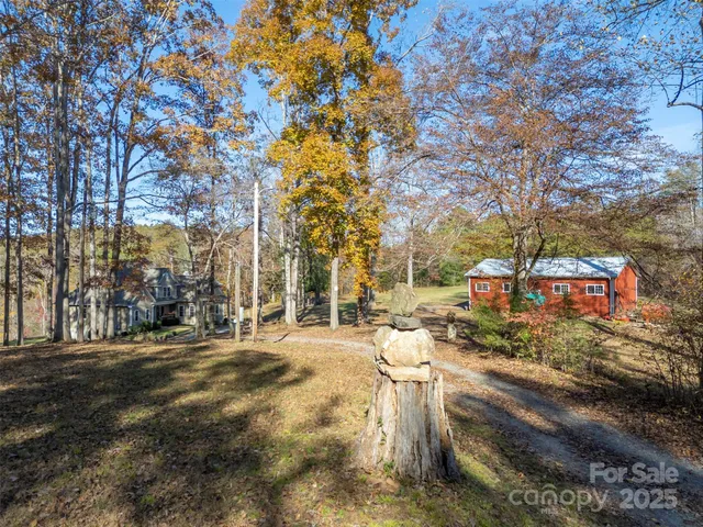 a view of a park with large trees