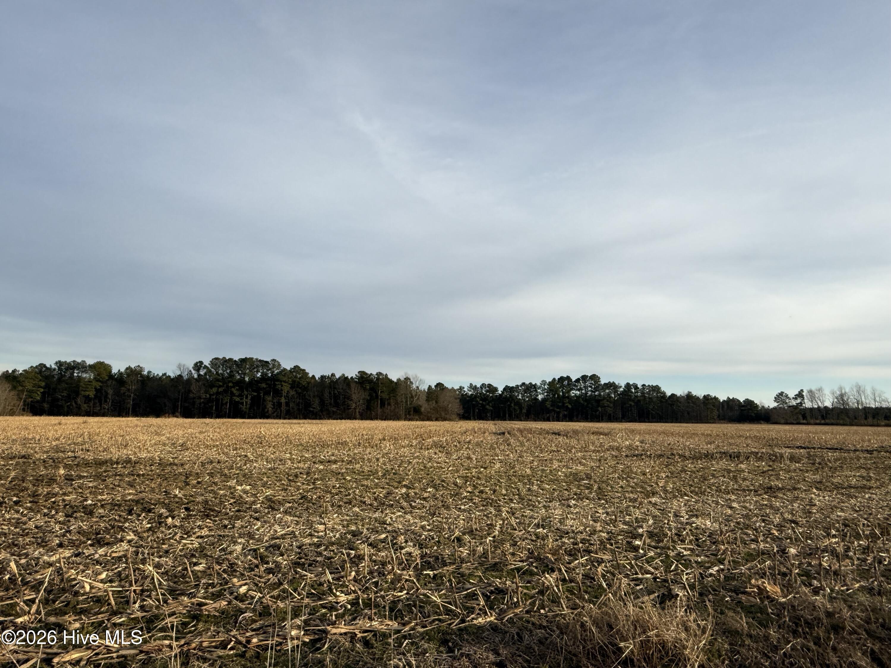 Lot 22 Beasley Road Roper, NC 27970 - Photo 1 of 2 Main View