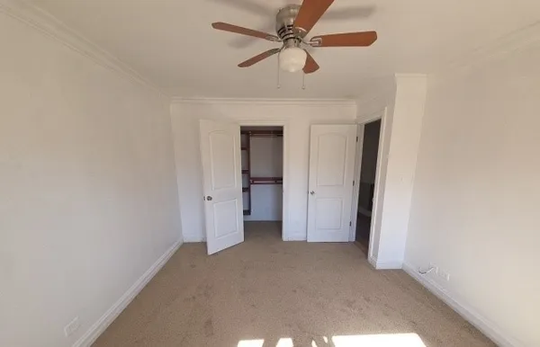 a view of a big room with carpet