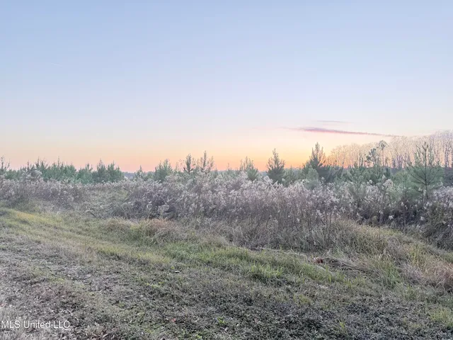 $210,000 | Eli Dudley Road, Moss Point, MS 39562