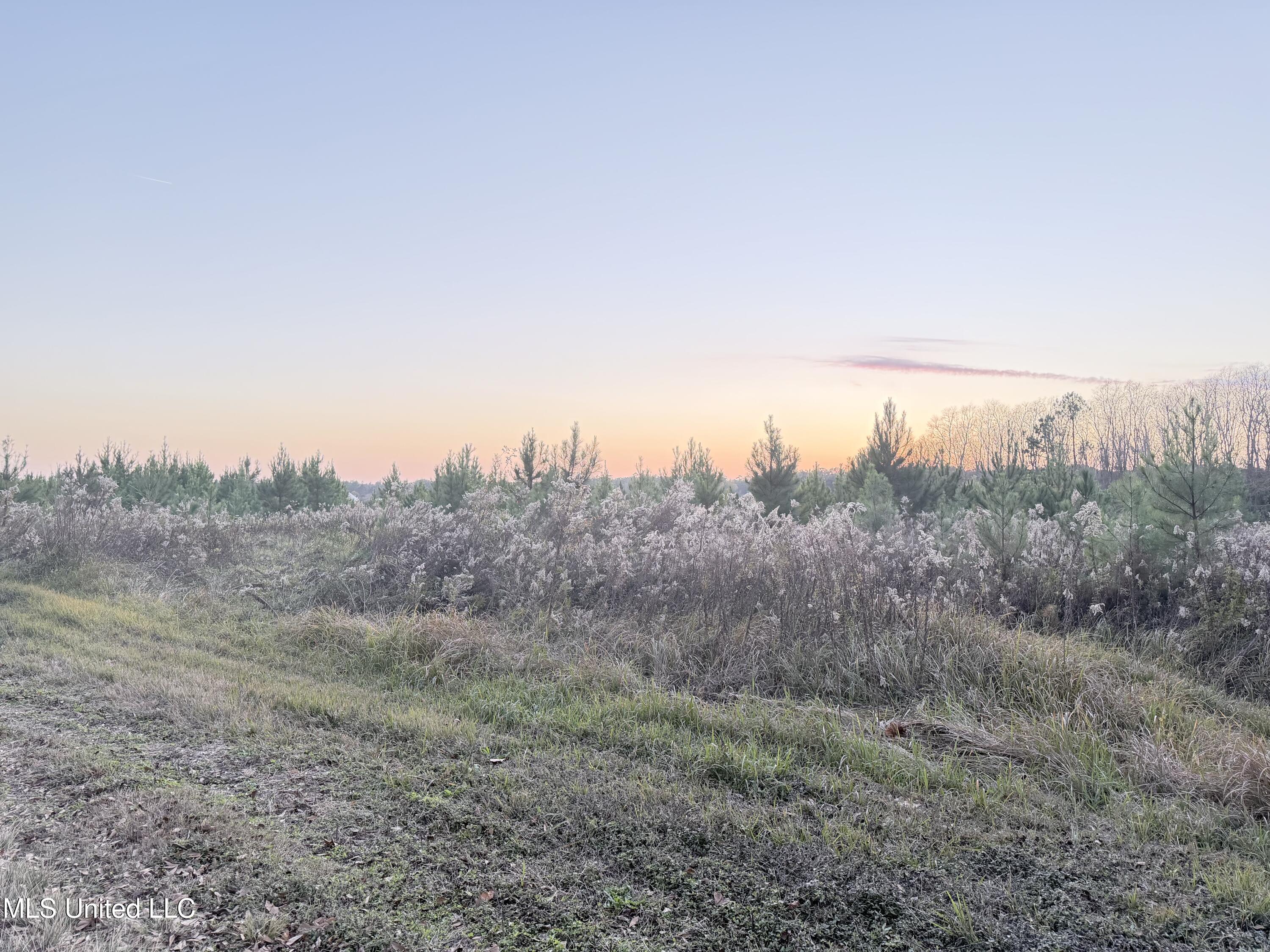 Eli Dudley Road Moss Point, MS 39562 - Photo 1 of 4 IMG_2472