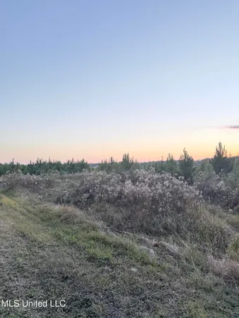 $210,000 | Eli Dudley Road, Moss Point, MS 39562