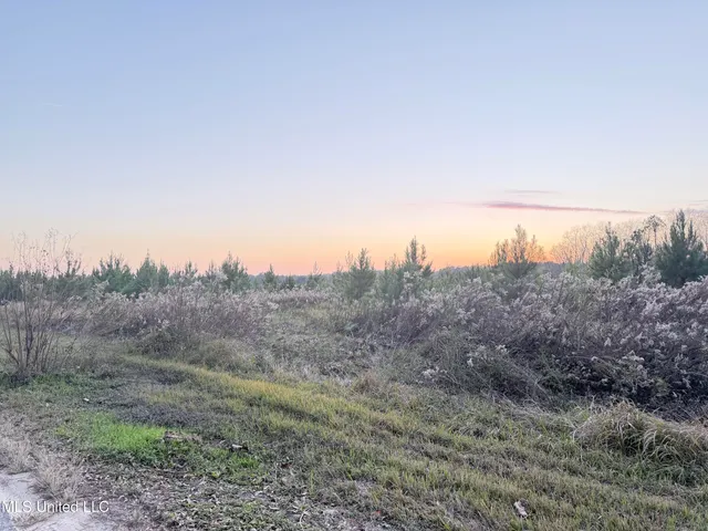 $210,000 | Eli Dudley Road, Moss Point, MS 39562