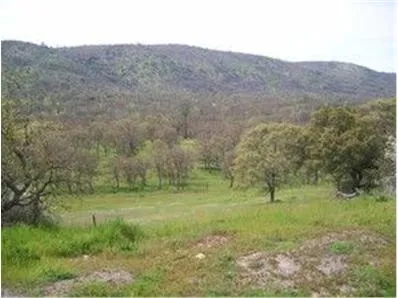 $175,000 | 711 Hawk Ridge, Copperopolis, CA 95228