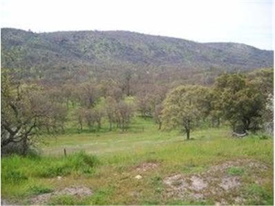 711 Hawk Ridge Copperopolis, CA 95228 - Photo 5 of 5