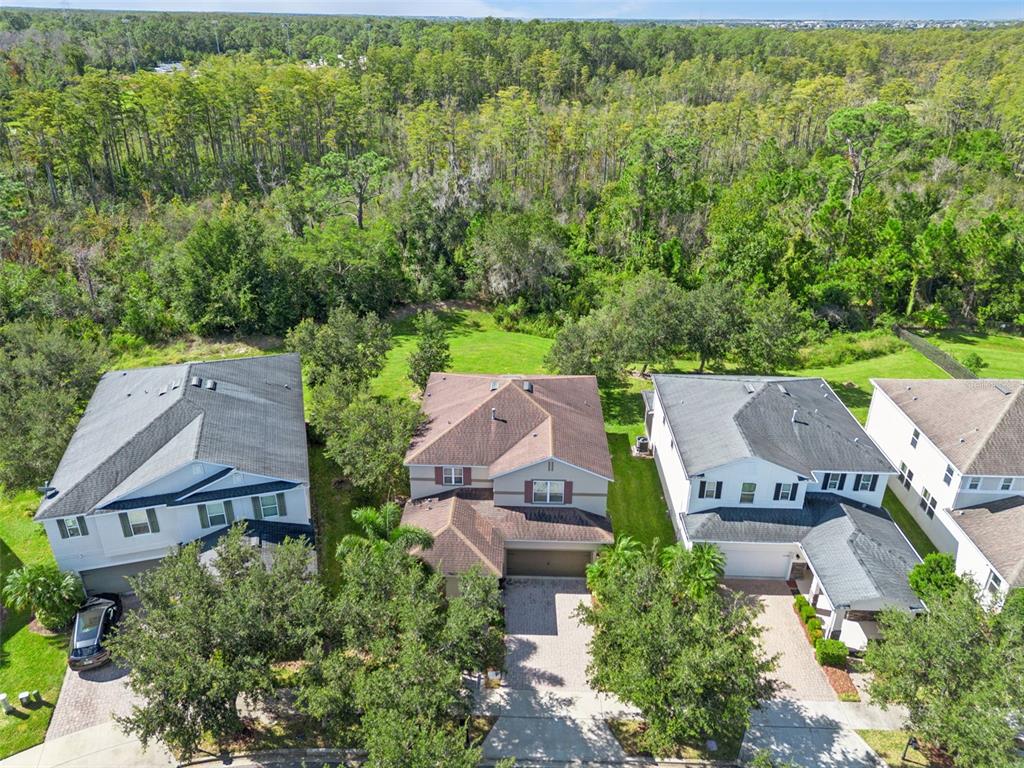 6734 Bridgewater Village Road Windermere, FL 34786 - Photo 3 of 51