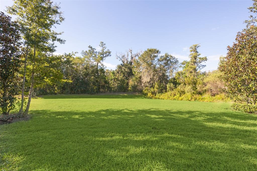 6734 Bridgewater Village Road Windermere, FL 34786 - Photo 44 of 51