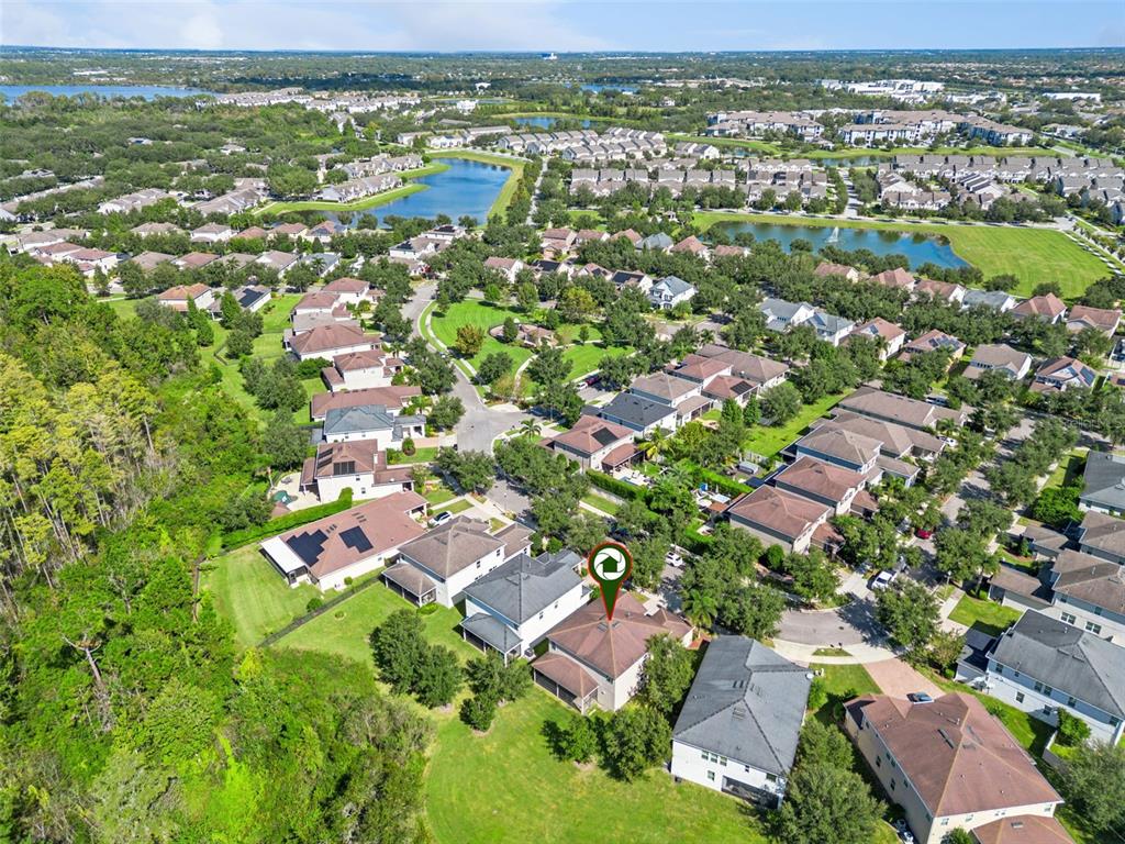 6734 Bridgewater Village Road Windermere, FL 34786 - Photo 46 of 51