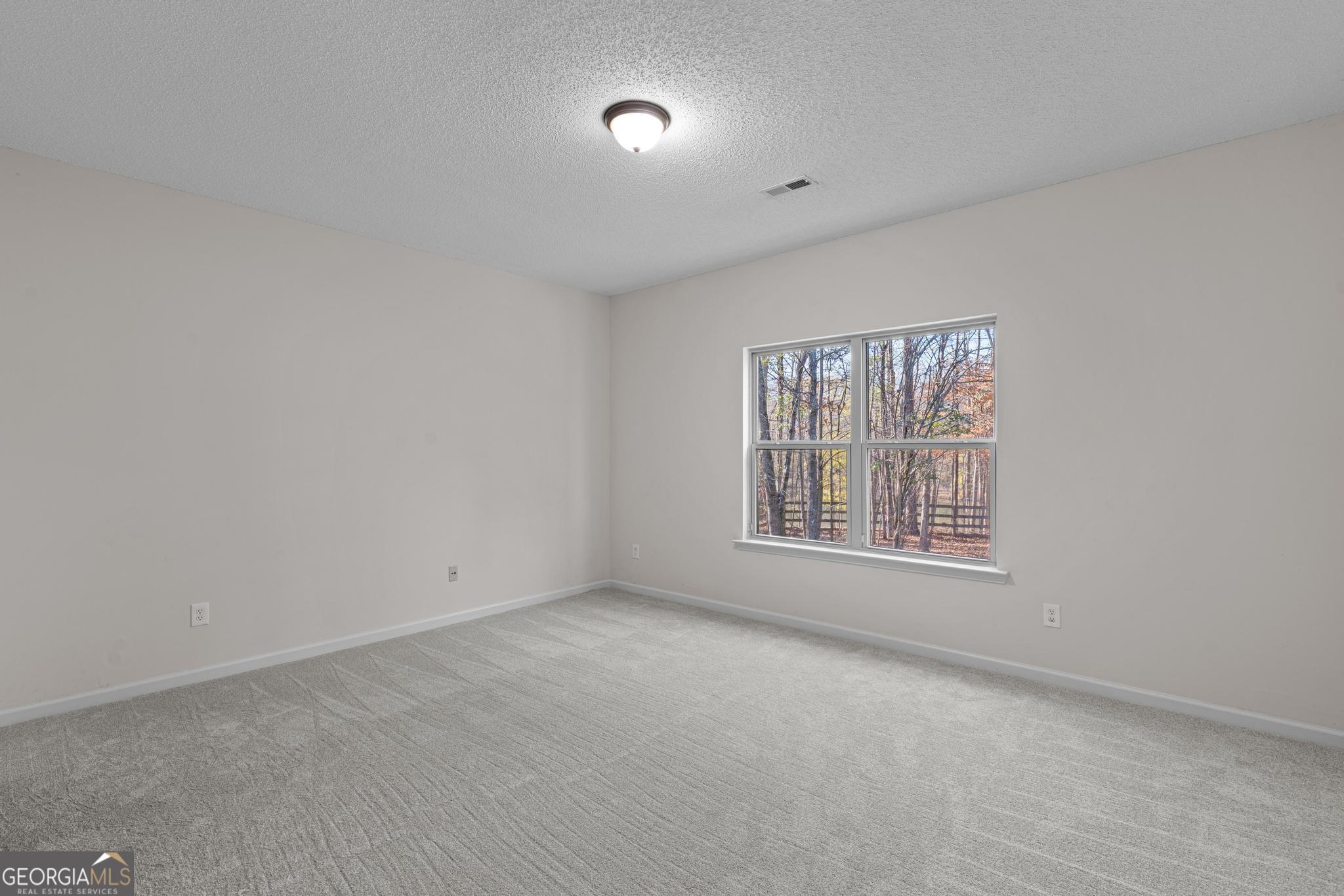 117 Martins Pond Road Newnan, GA 30263 - Photo 25 of 64