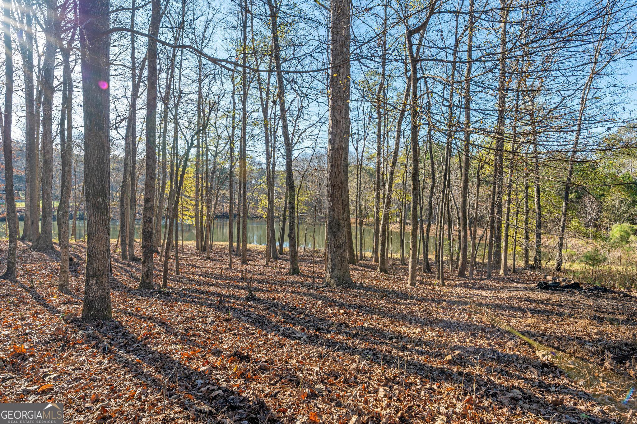 117 Martins Pond Road Newnan, GA 30263 - Photo 56 of 64