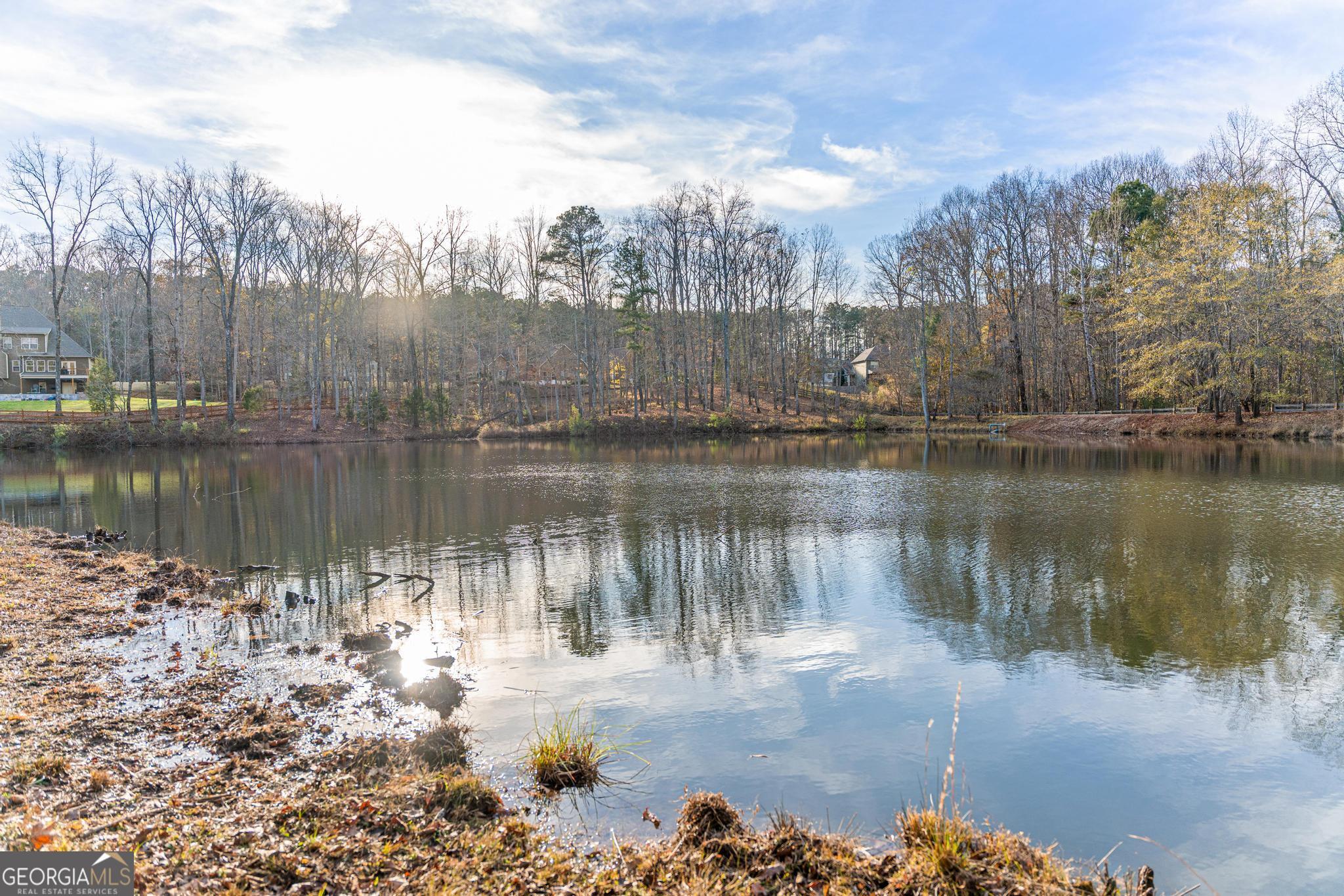 117 Martins Pond Road Newnan, GA 30263 - Photo 60 of 64