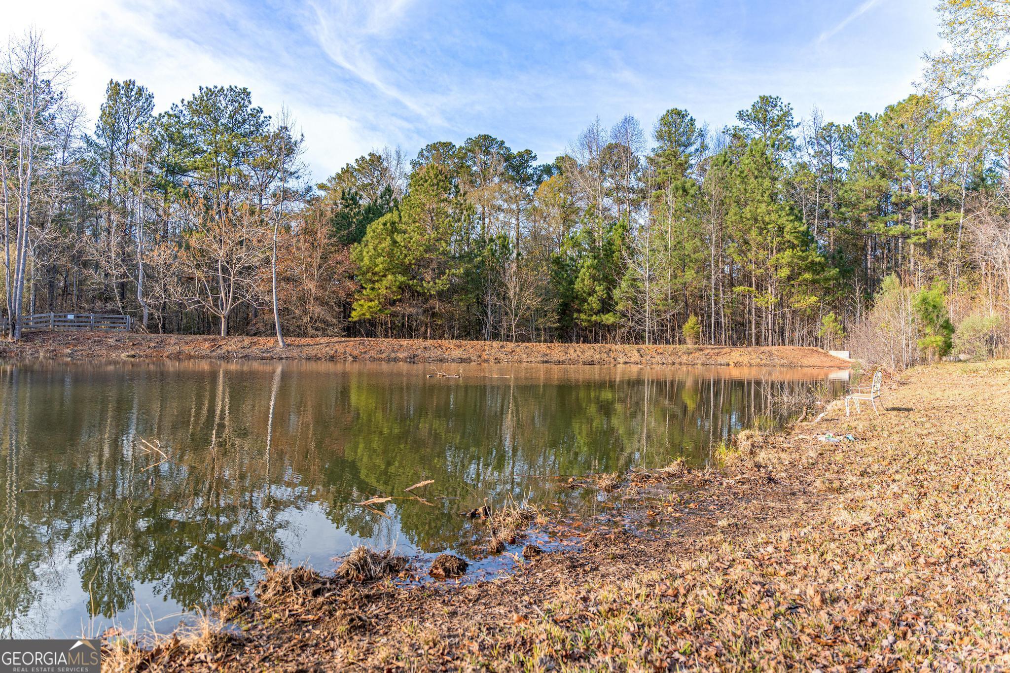 117 Martins Pond Road Newnan, GA 30263 - Photo 61 of 64