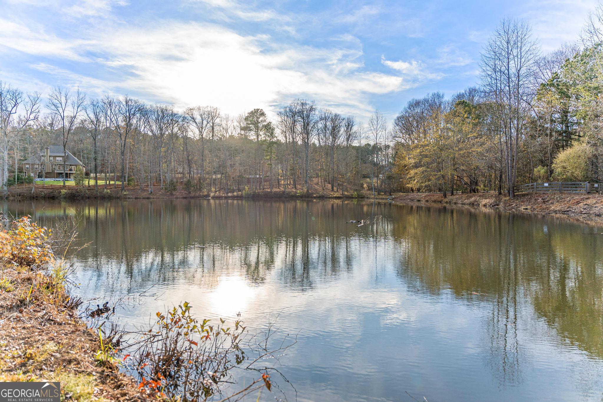 117 Martins Pond Road Newnan, GA 30263 - Photo 62 of 64