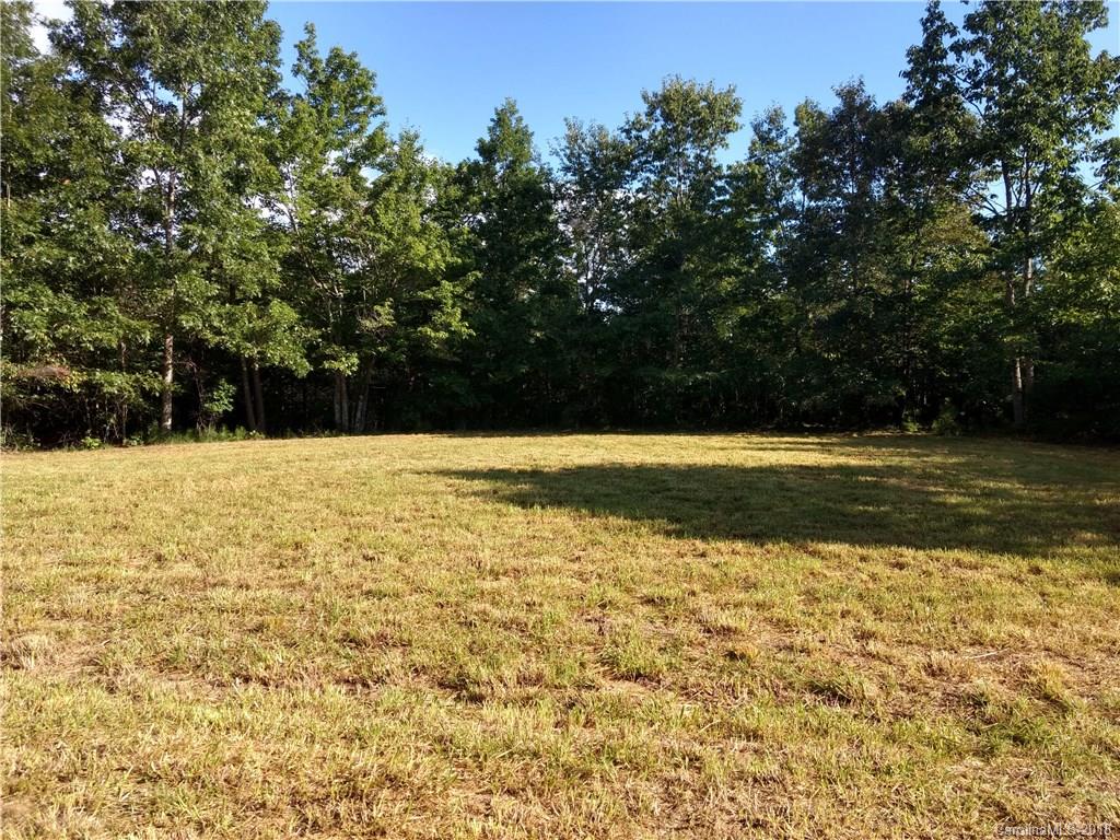 414 Blanton Road Mill Spring, NC 28756 - Photo 2 of 21