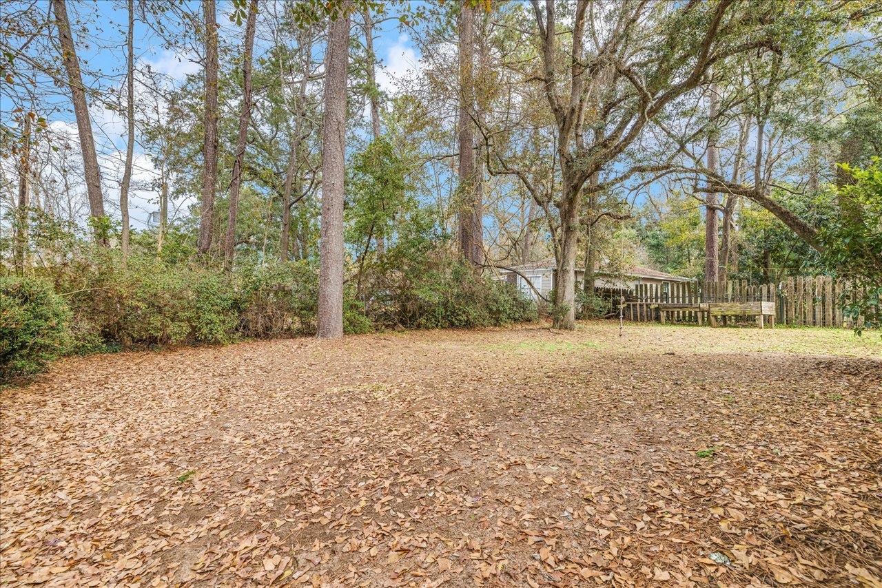1826 Mayfair Road Tallahassee, FL 32303 - Photo 11 of 40 Gallery Image 11