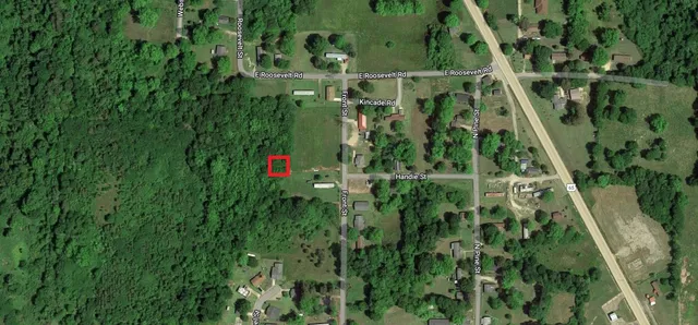 a close up of a plant in a garden