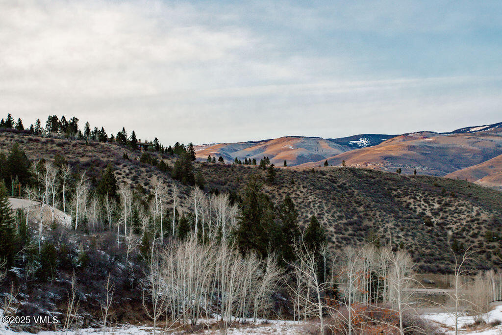 100 Bachelor Ridge Road, Unit 3404/8 Avon, CO 81620 - Photo 11 of 15 a view of a city