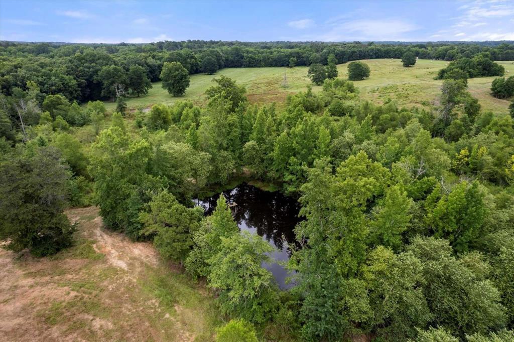274 County Road Southwest Winnsboro, TX 75494 - Photo 12 of 26 a view of a lush green forest with houses