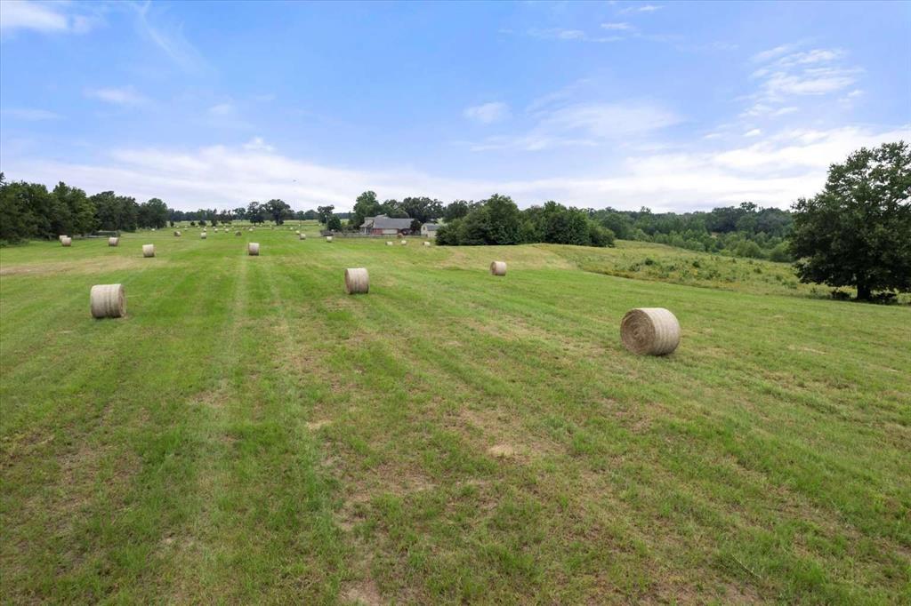 274 County Road Southwest Winnsboro, TX 75494 - Photo 18 of 26 a view of a lake with houses in the back