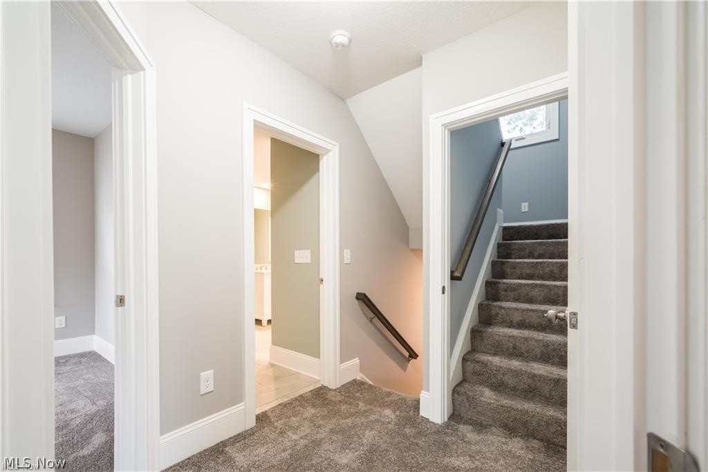 1387 Plainfield Road Cleveland, OH 44121 - Photo 23 of 31