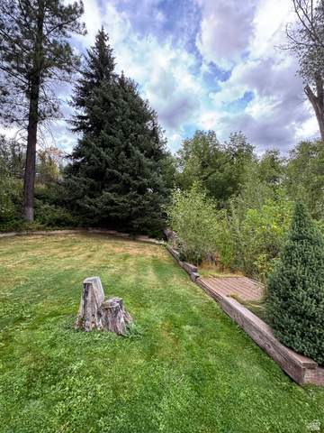 6633 Holiday Hills Road Springville, UT 84663 - Photo 16 of 30 Expansive lawn area with established mature trees and a wood timber retaining wall