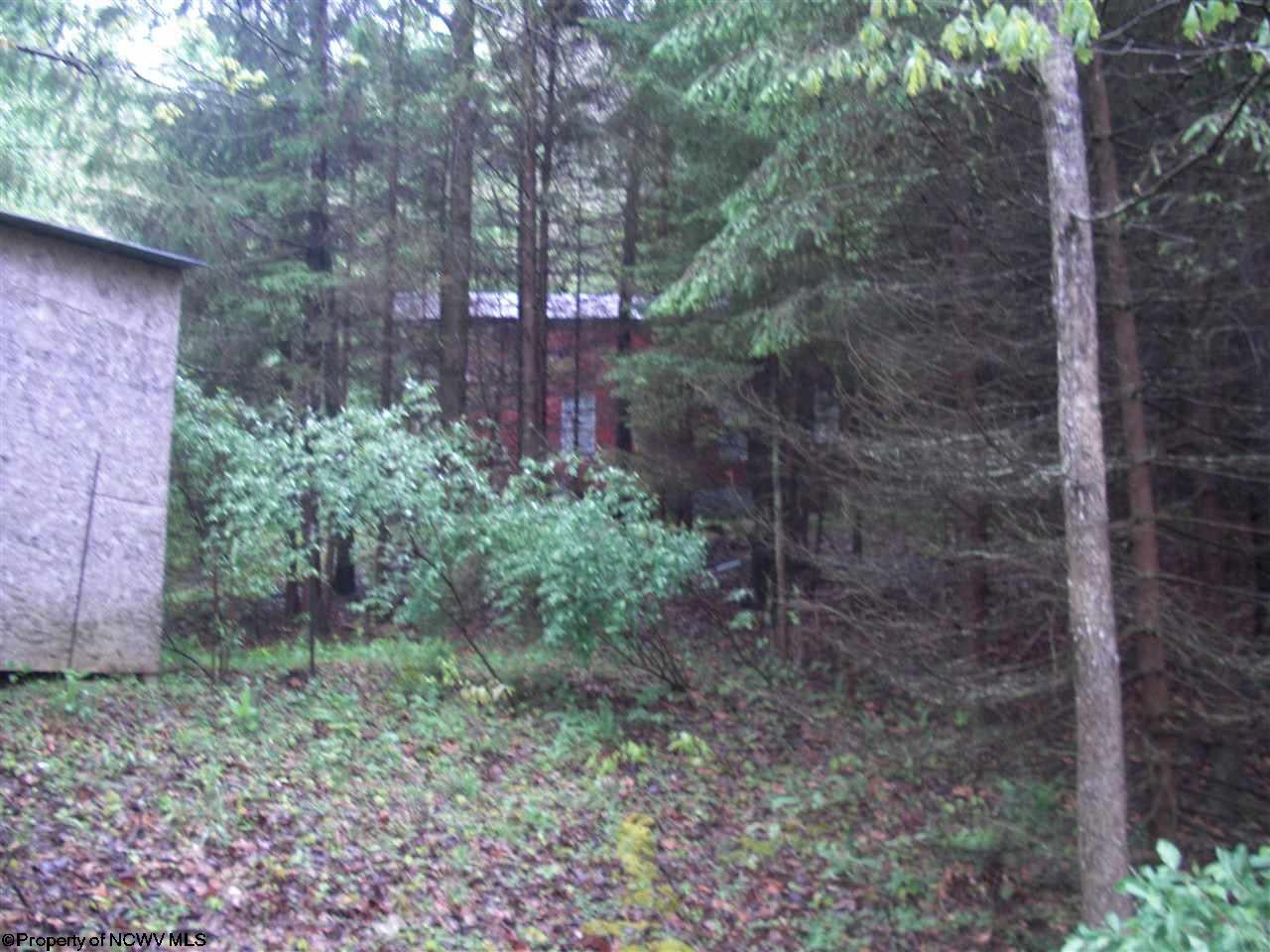 2822 Walnut Fork Road Camden, WV 26338 - Photo 4 of 20 Gallery Image 4