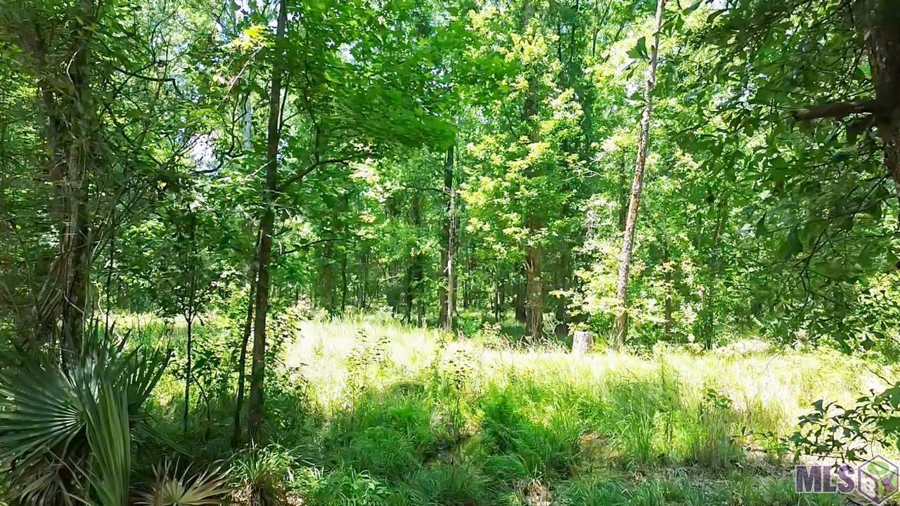 Tract C Picou Road Maurepas, LA 70449 - Photo 8 of 10