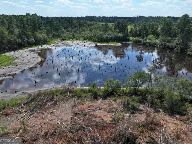 a view of a lush green field with lots of plants in it