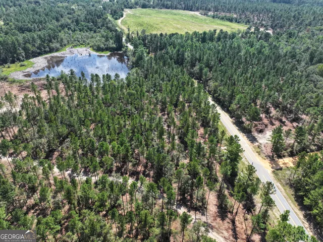 $624,000 | 0 Kie Sikes Road, Cobbtown, GA 30420