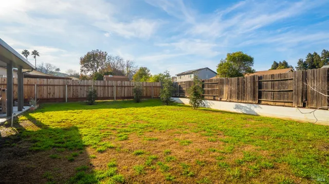 a view of a backyard with a large tree
