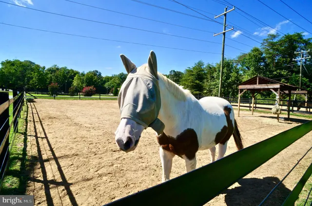 a view of a wooden house with a sign broad