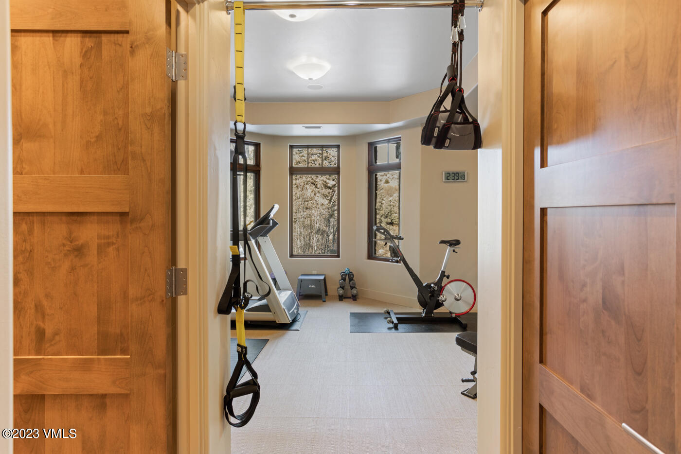 83 Eagle River Road Edwards, CO 81632 - Photo 39 of 64 a view of a room with gym equipment