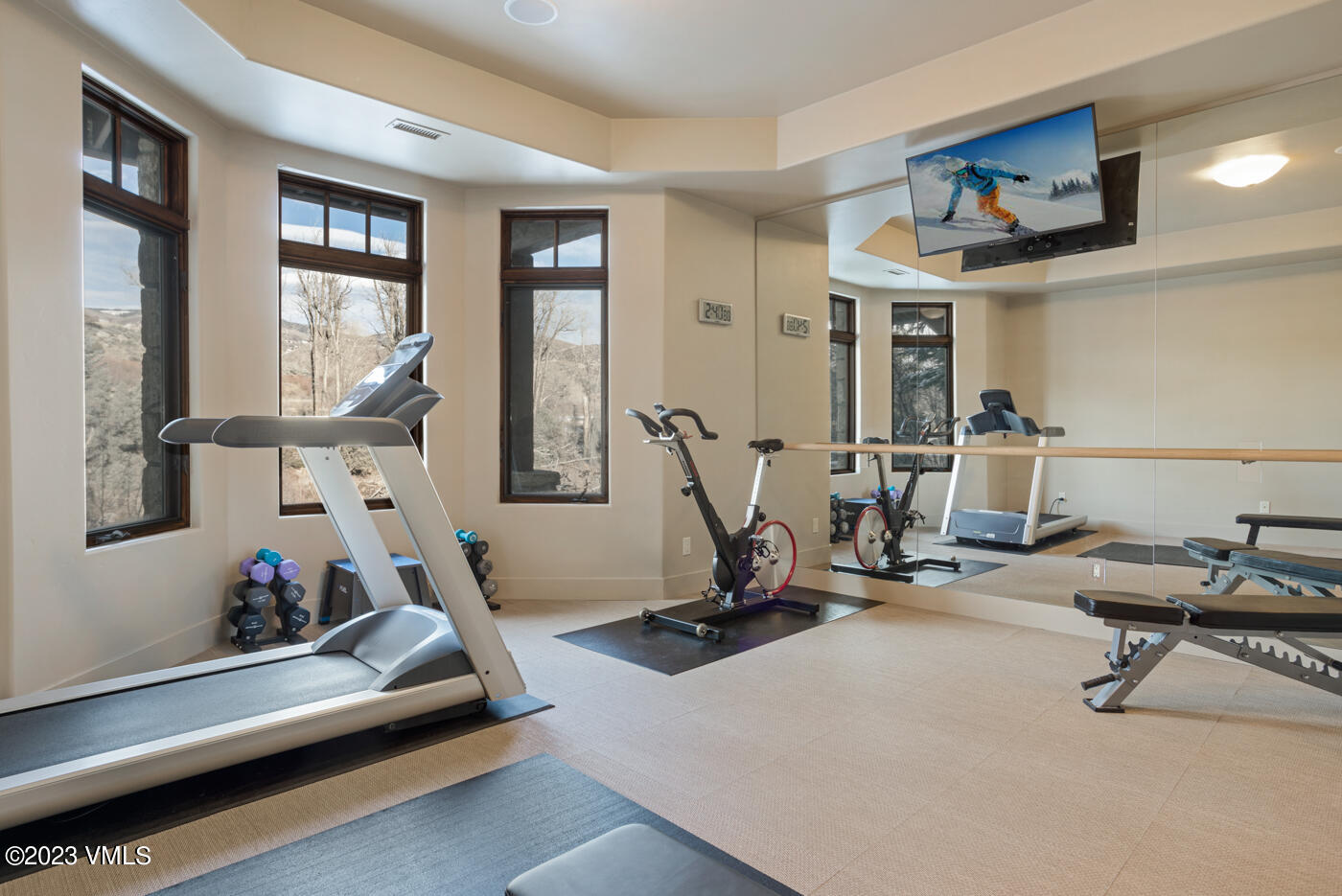 83 Eagle River Road Edwards, CO 81632 - Photo 40 of 64 a view of a room with gym equipment