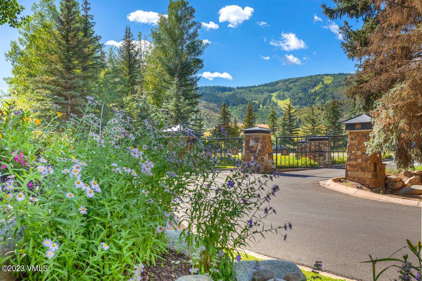 83 Eagle River Road Edwards, CO 81632 - Photo 64 of 64 a view of a street with flower plants