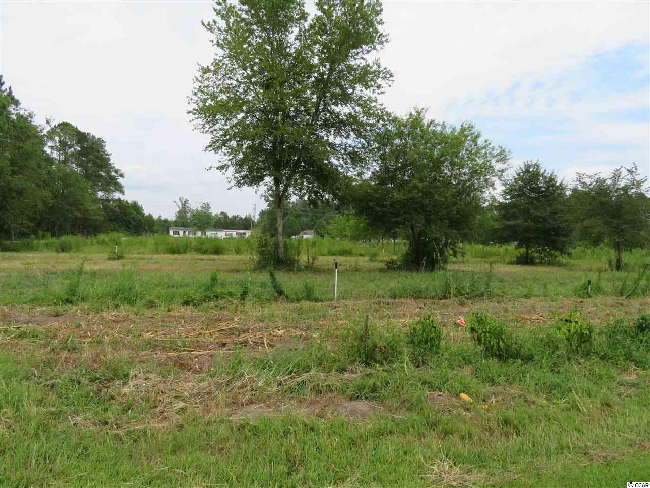 401 West Bear Grass Road Longs, SC 29568 - Photo 18 of 24 Gallery Image 18