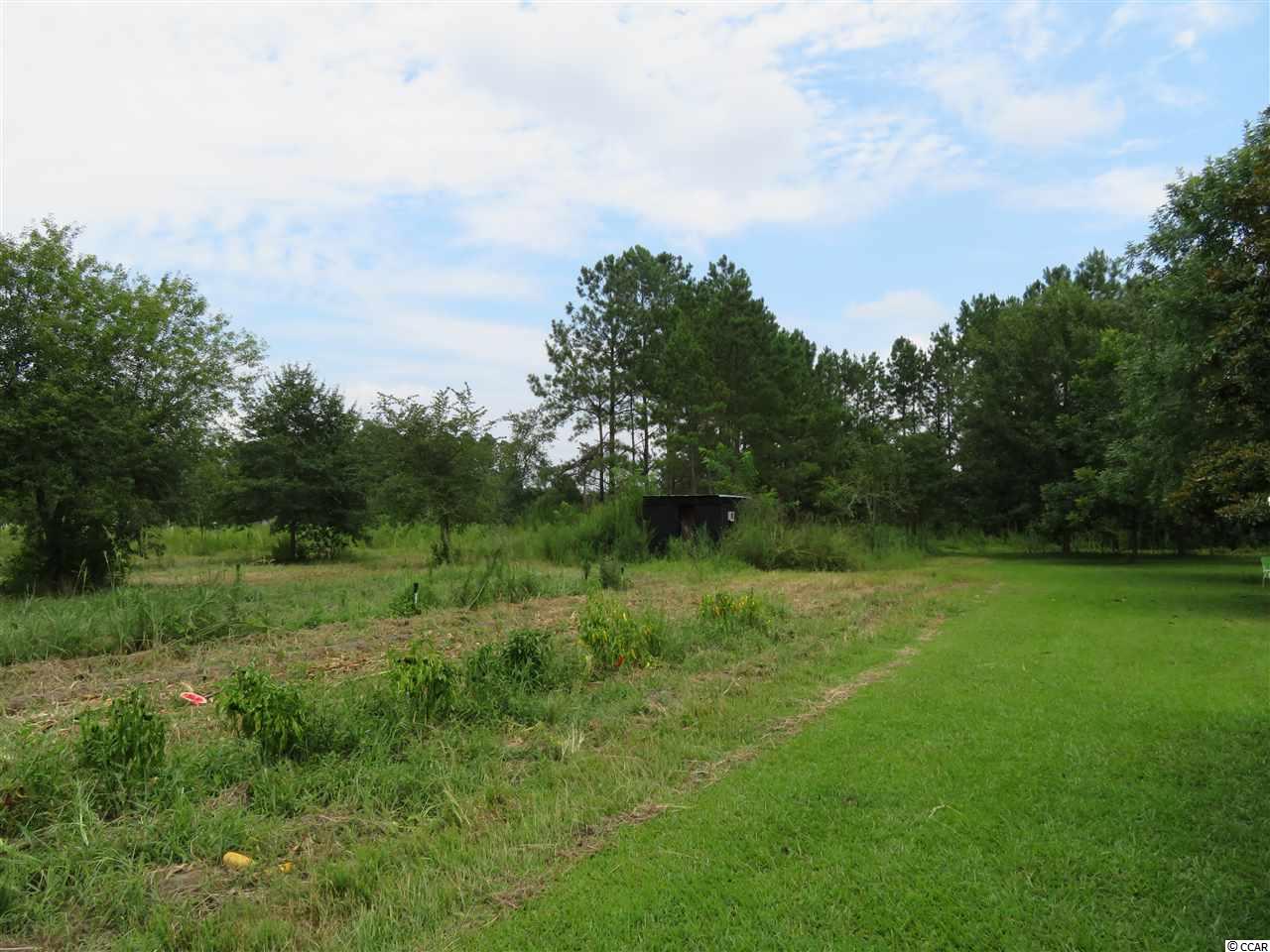 401 West Bear Grass Road Longs, SC 29568 - Photo 19 of 24 Gallery Image 19