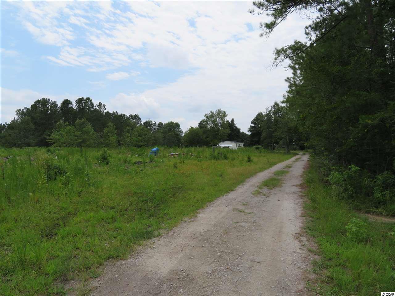 401 West Bear Grass Road Longs, SC 29568 - Photo 3 of 24 Gallery Image 3
