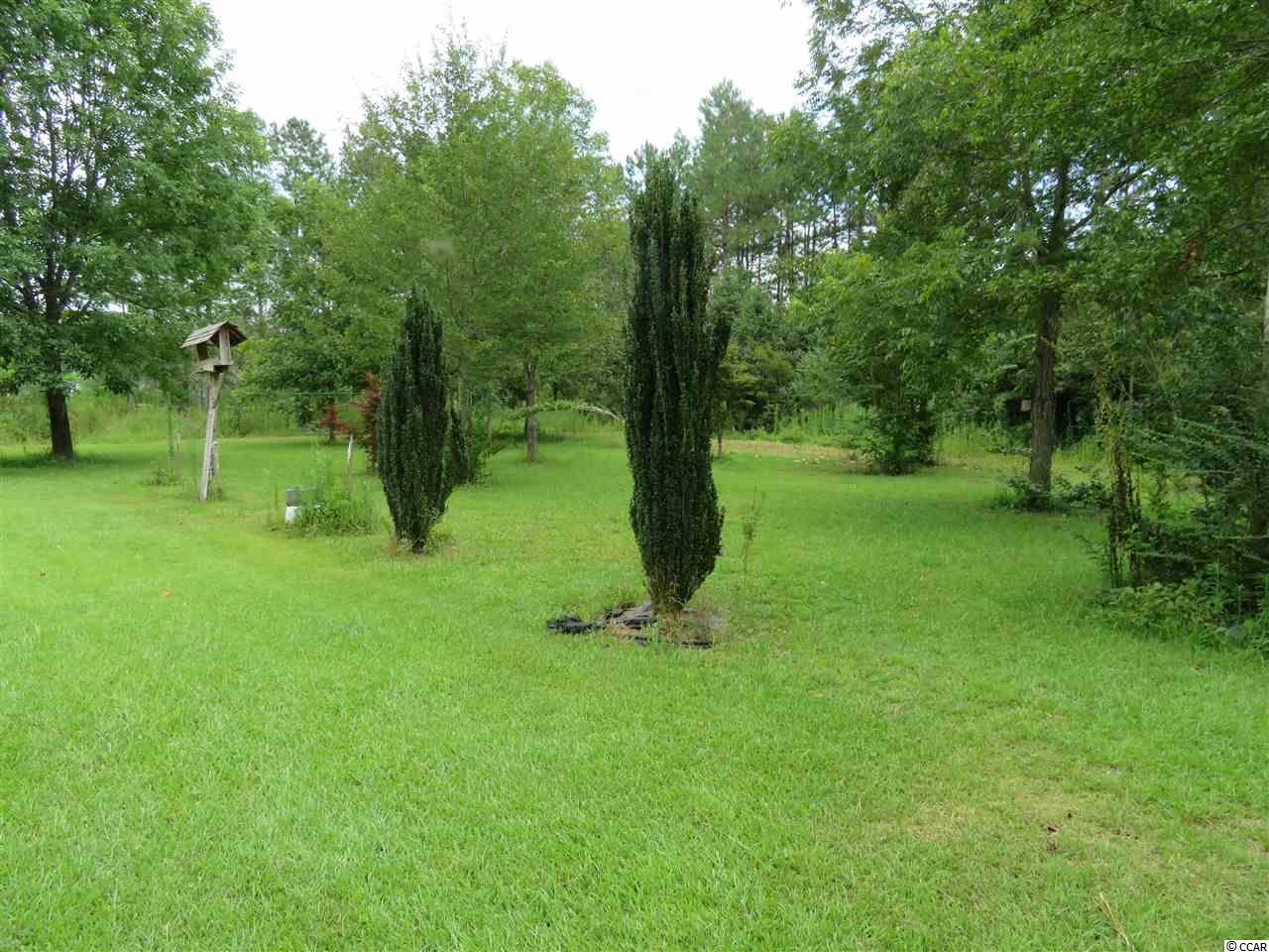 401 West Bear Grass Road Longs, SC 29568 - Photo 21 of 24 Gallery Image 21