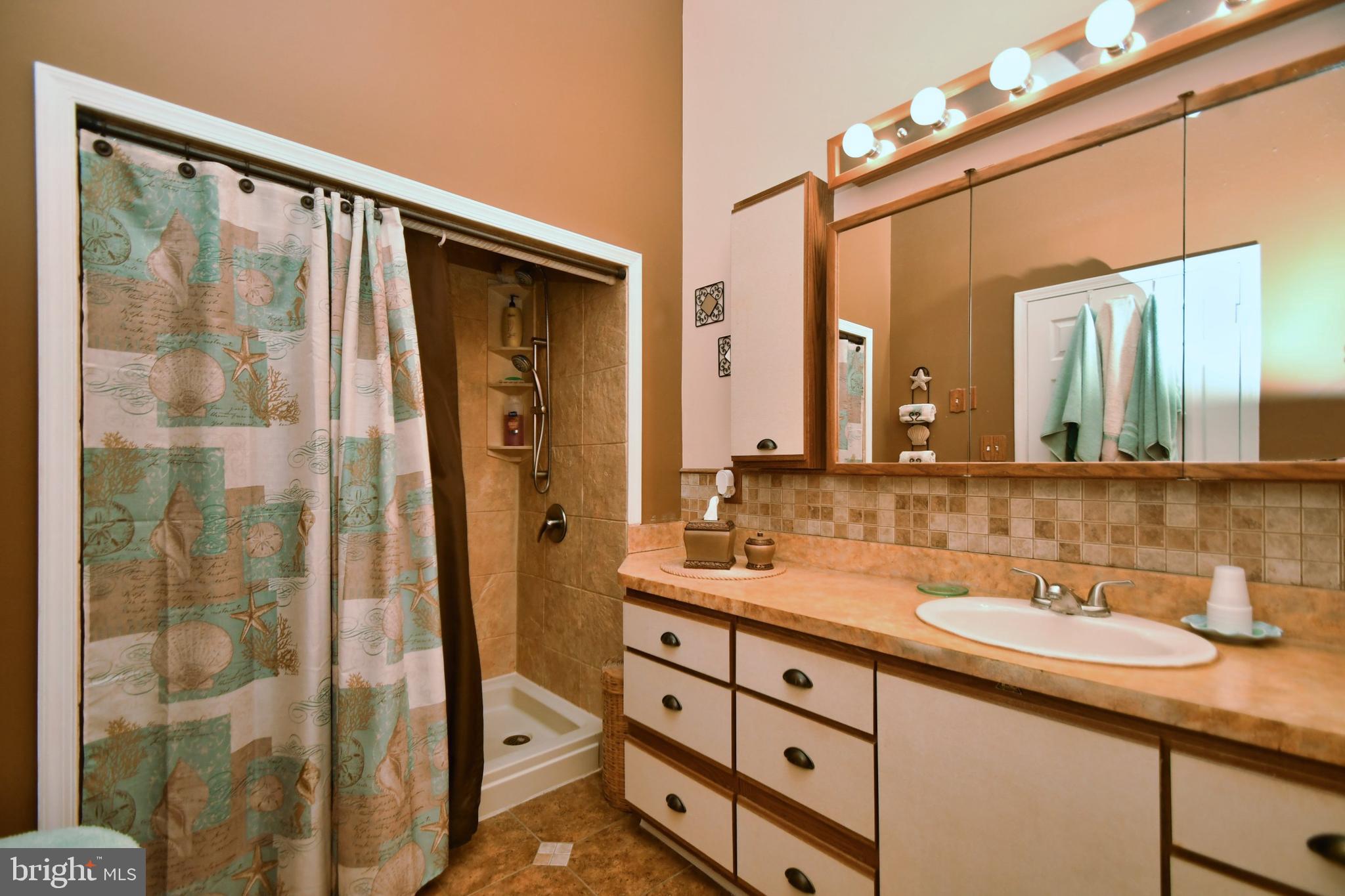 1143 Seneca Road Baltimore, MD 21220 - Photo 51 of 80 Master House Bath