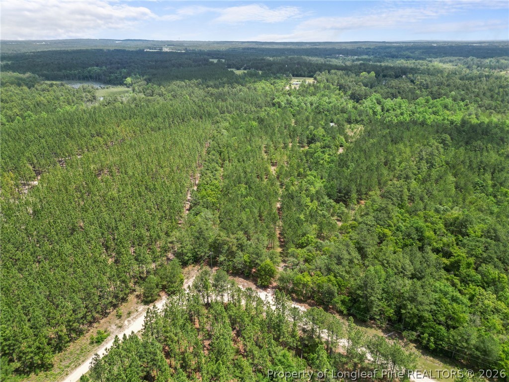 Nighthawk Loop Aberdeen, NC 28315 - Photo 11 of 12