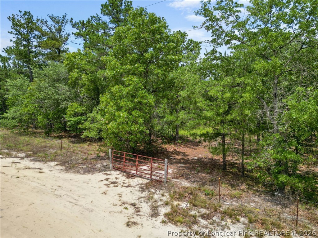 Nighthawk Loop Aberdeen, NC 28315 - Photo 12 of 12