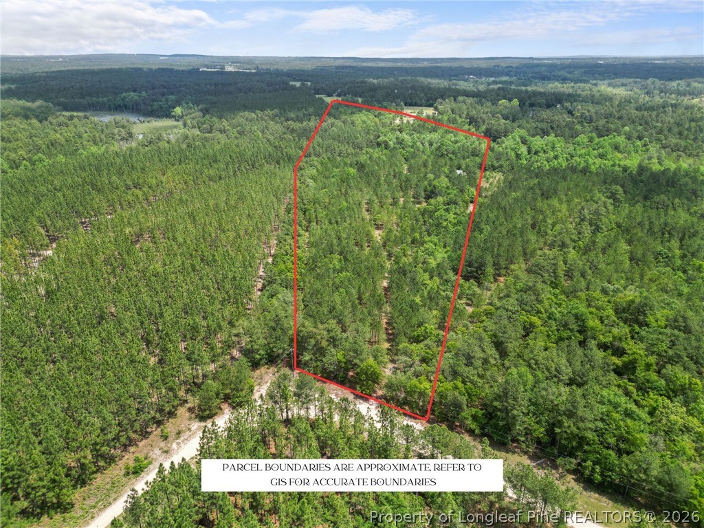 Nighthawk Loop Aberdeen, NC 28315 - Photo 2 of 12