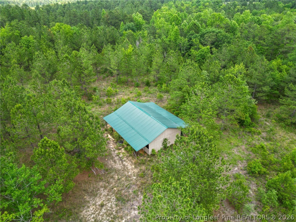 Nighthawk Loop Aberdeen, NC 28315 - Photo 3 of 12