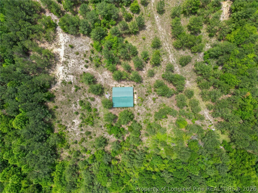 Nighthawk Loop Aberdeen, NC 28315 - Photo 4 of 12