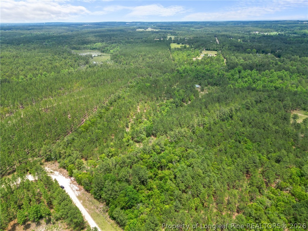 Nighthawk Loop Aberdeen, NC 28315 - Photo 6 of 12