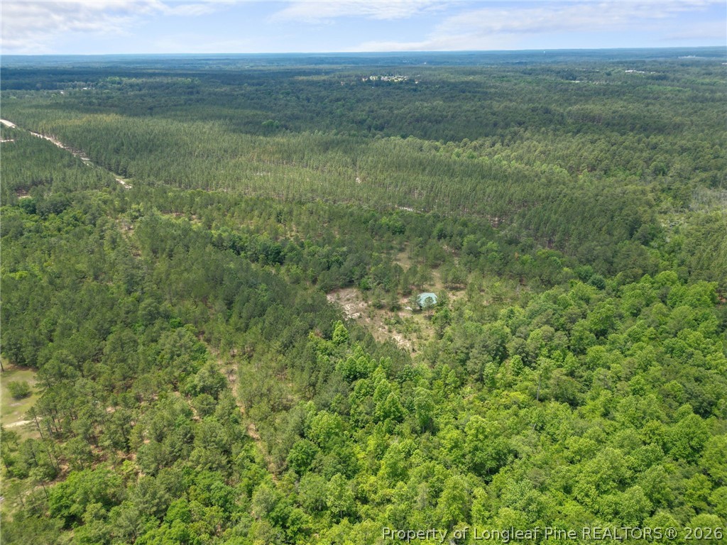 Nighthawk Loop Aberdeen, NC 28315 - Photo 7 of 12