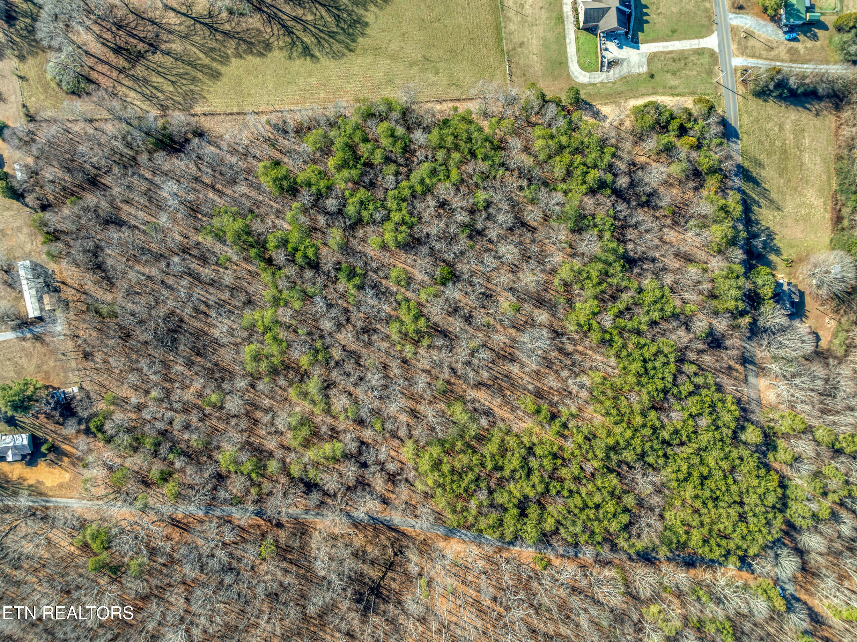 260 Co Road Niota, TN 37826 - Photo 10 of 12 DJI_0562