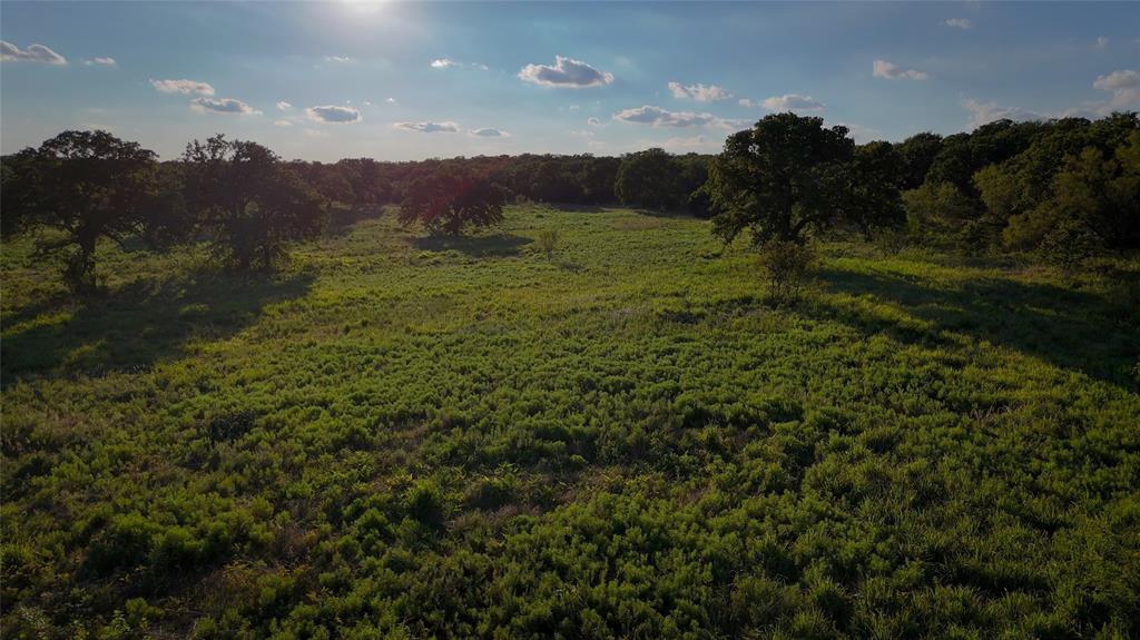 Tbd Bloodworth Road Bowie, TX 76230 - Photo 20 of 25