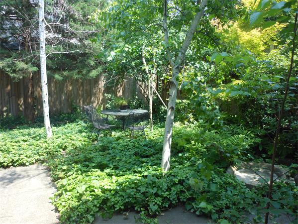18-20 Longfellow Road Cambridge, MA 02138 - Photo 11 of 15 Gallery Image 11